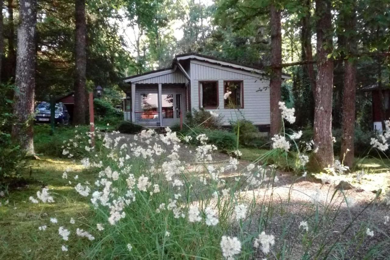 Chalet Siesta Is Rust & Natuur In Durbuy - Barvaux-Sur-Ourthe Экстерьер фото