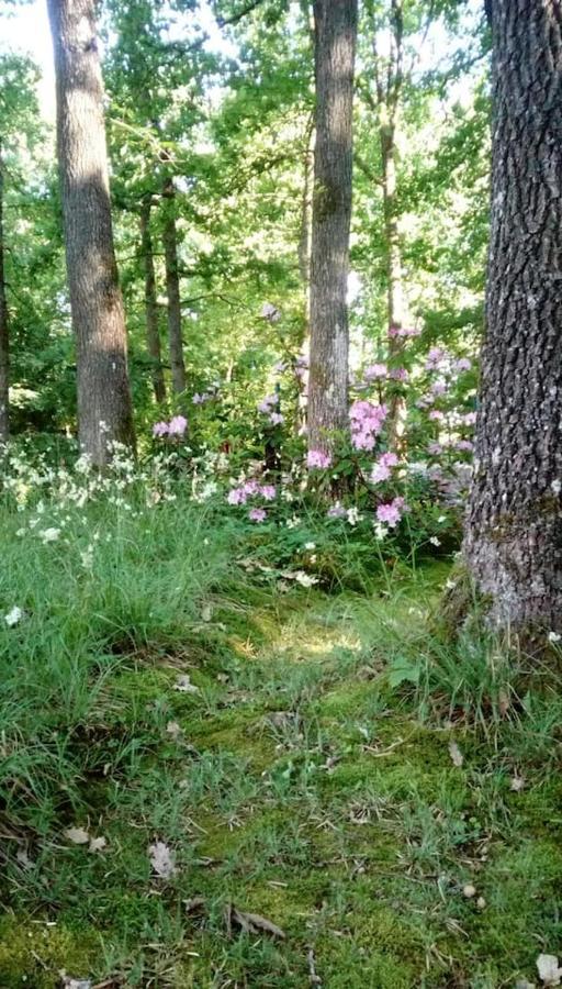 Chalet Siesta Is Rust & Natuur In Durbuy - Barvaux-Sur-Ourthe Экстерьер фото